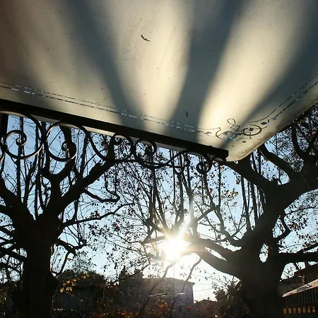 Stella D'oro Quinto Di Treviso