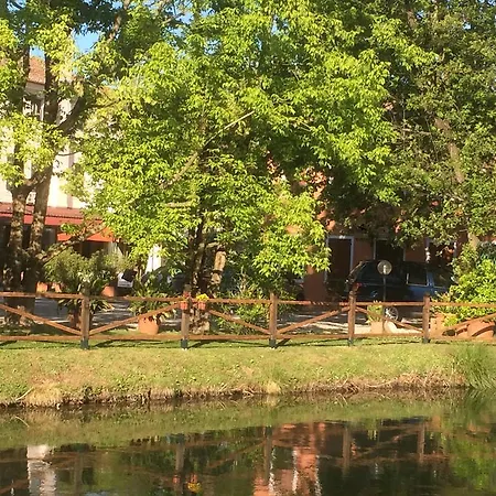 Stella D'oro Quinto Di Treviso