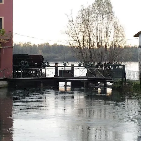 Stella D'oro